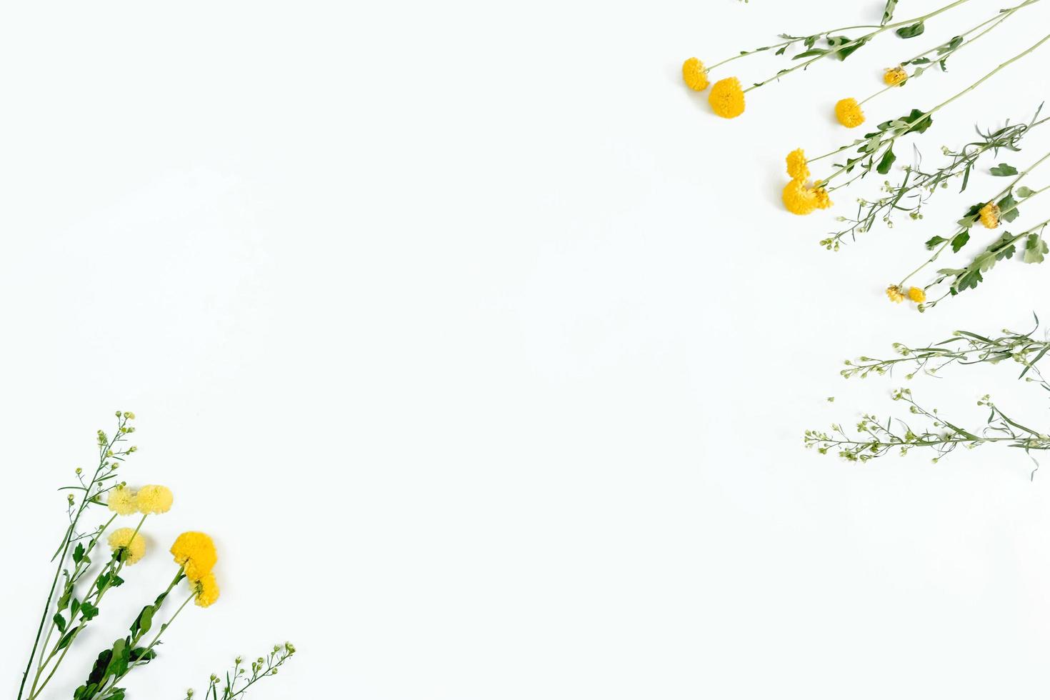 witte achtergrond met vrij geel bloemframe foto