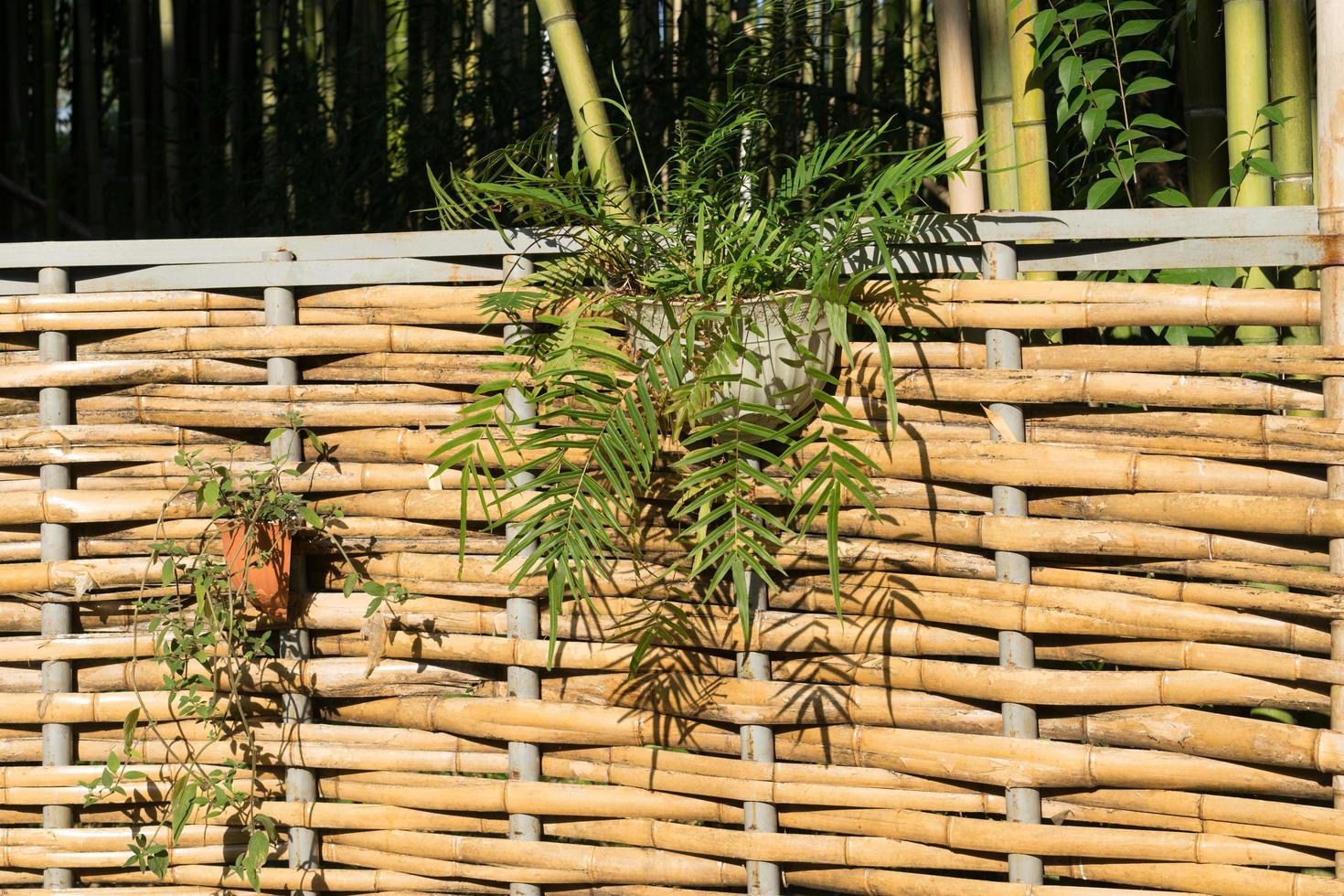 bamboe hek met hangende bloemenmanden foto