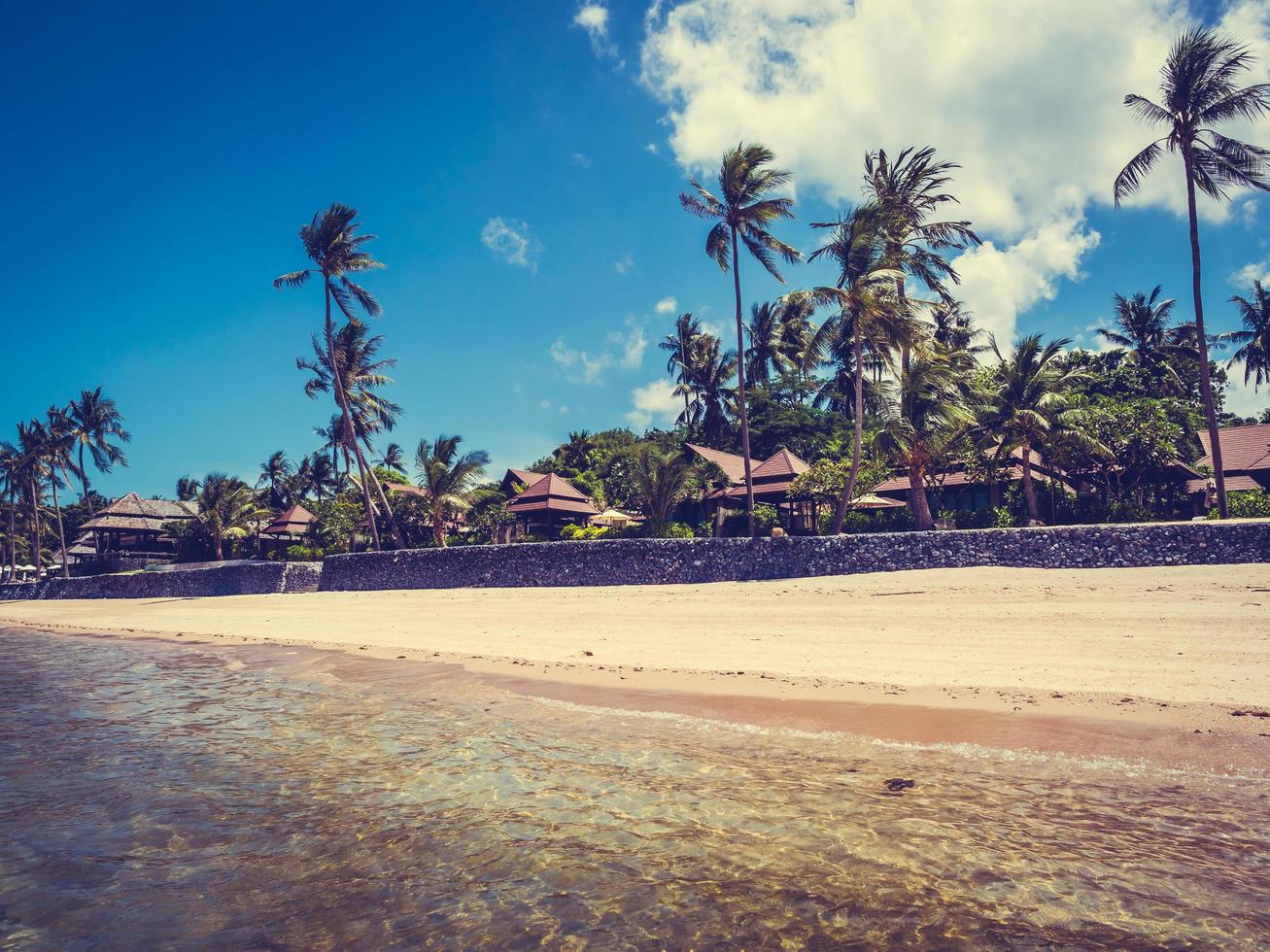 prachtig tropisch strand met palmbomen foto
