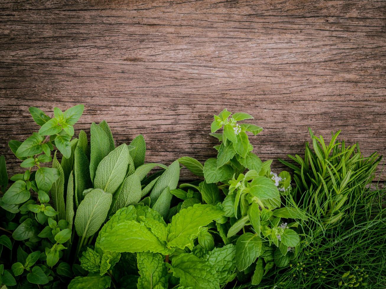 aromatische kruiden op hout foto