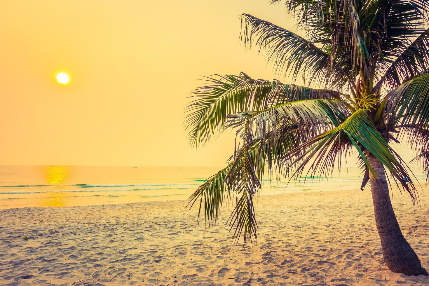 prachtig tropisch strand foto