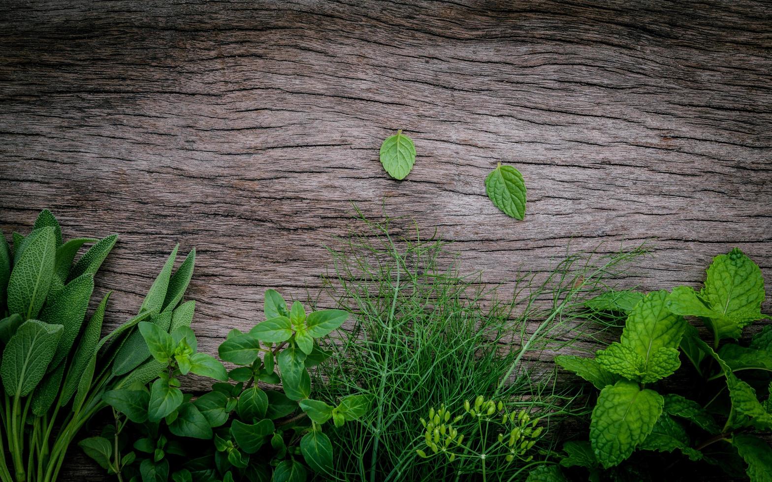 kruiden op hout in het donker foto