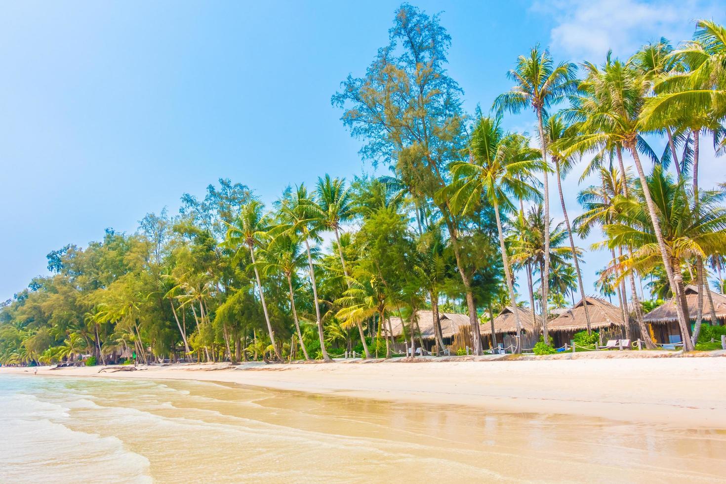 tropisch strand met palmbomen foto