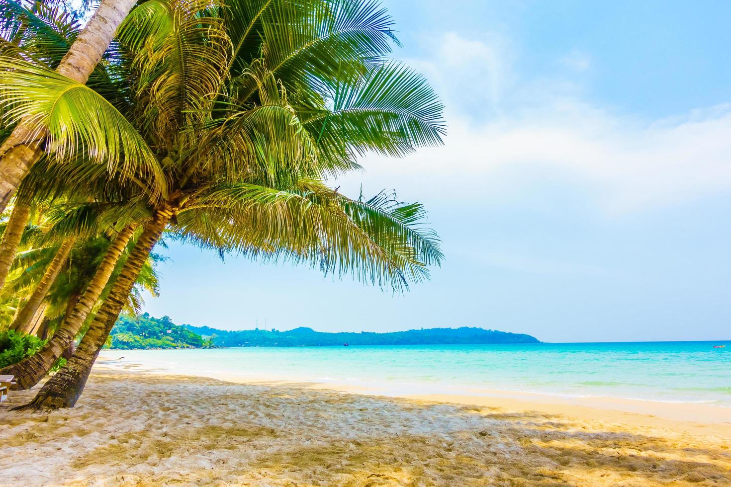 prachtig tropisch strand foto