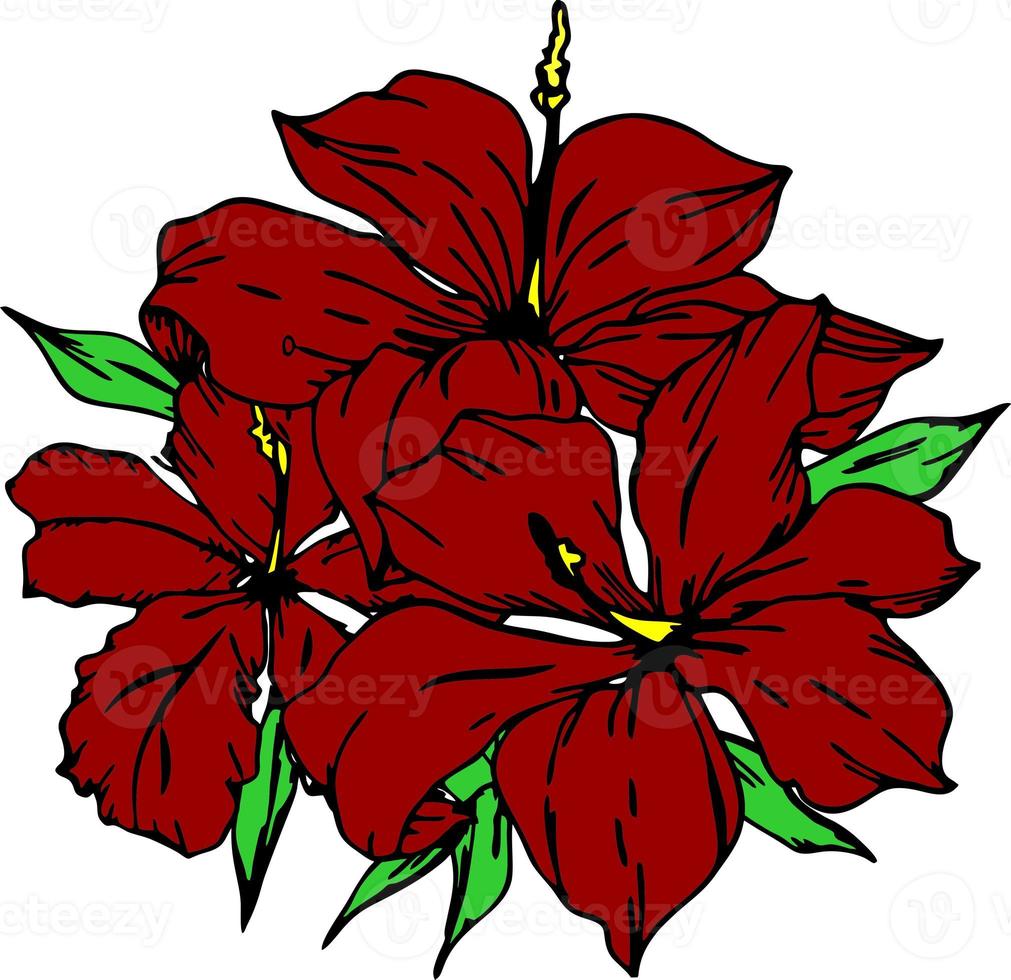 tekening van een Afdeling van rood bloemen met een zwart schets Aan een wit achtergrond, logo, kunst foto