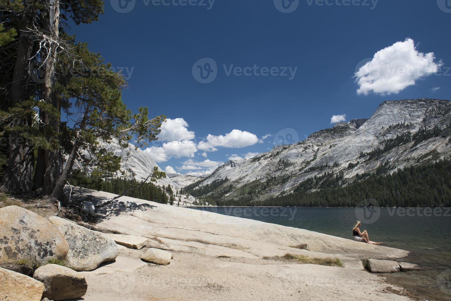 yosemite vallei mooi zonnig visie foto