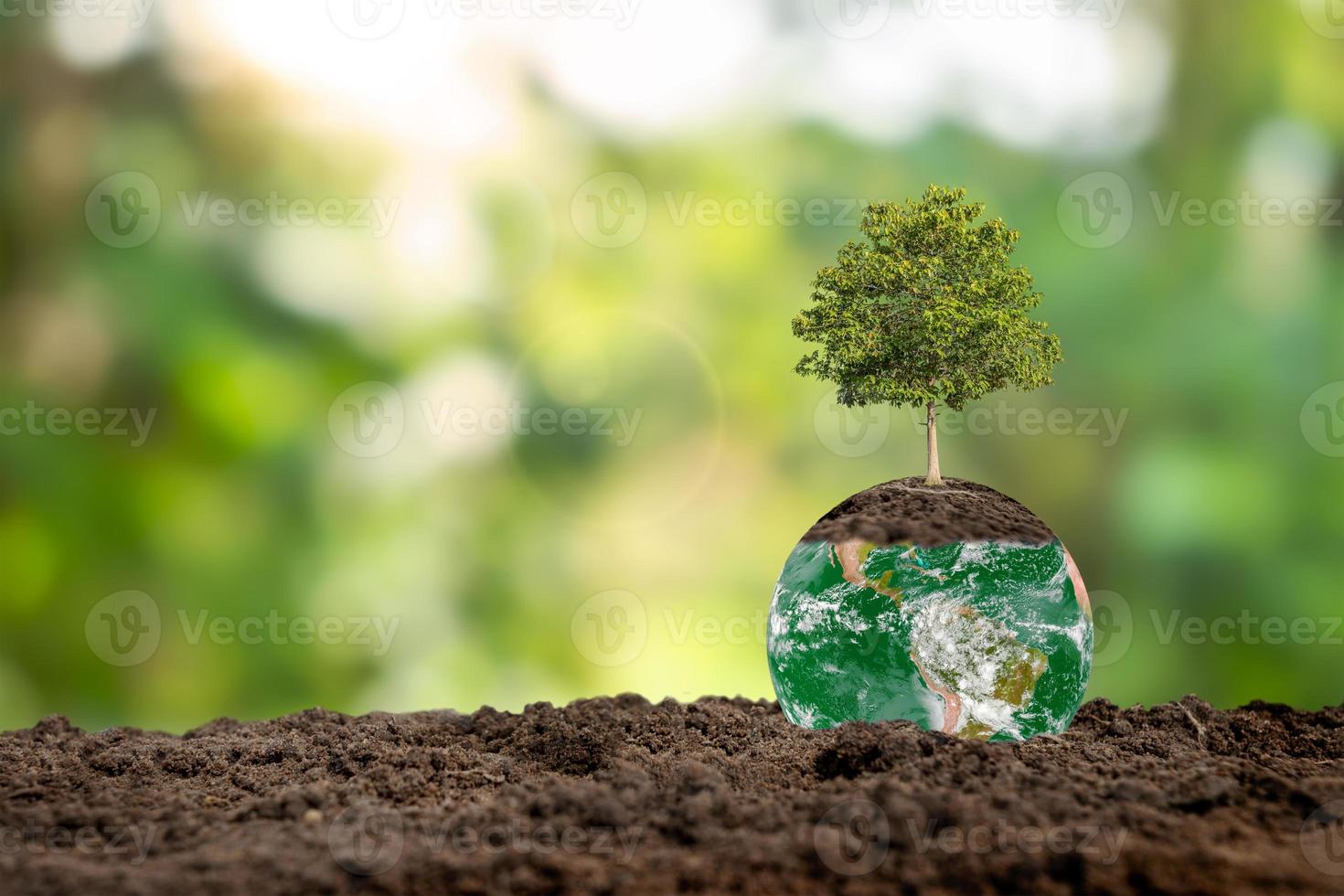 aarde dag concept of milieu dag concept boom groeit Aan de grond. elementen van deze beeld gemeubileerd door nasa. foto