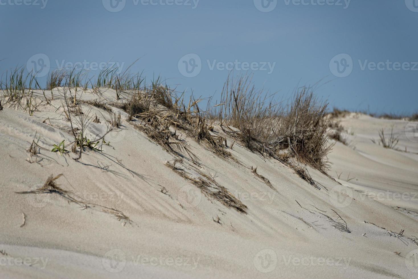 strand zandduinen foto