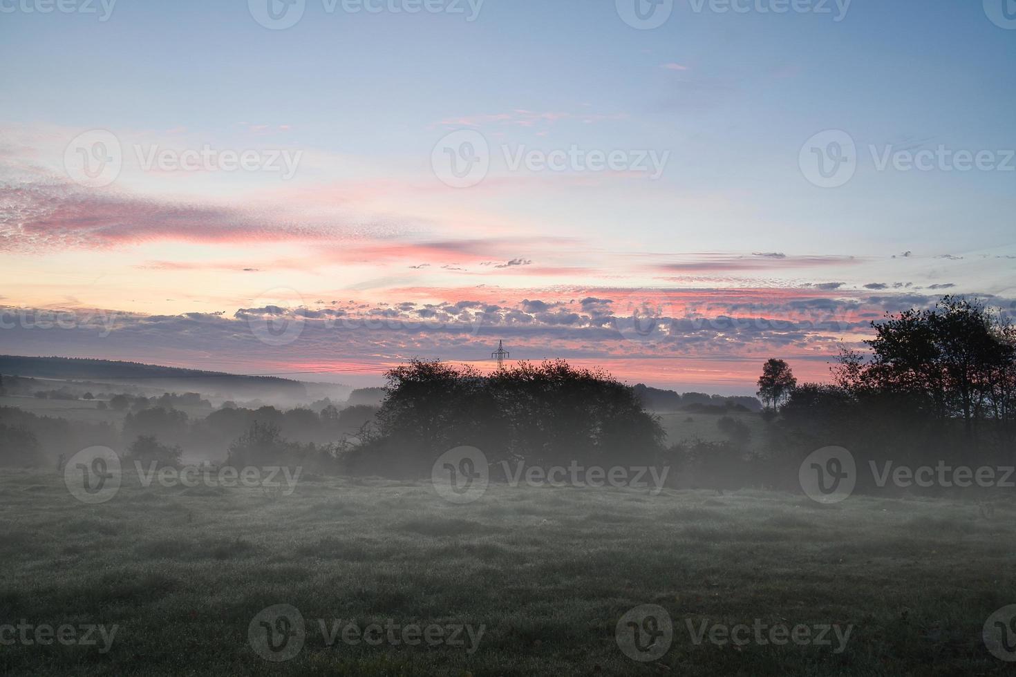 zonsopkomst over- een naburig Woud met weide in de voorgrond. weiland landschap foto