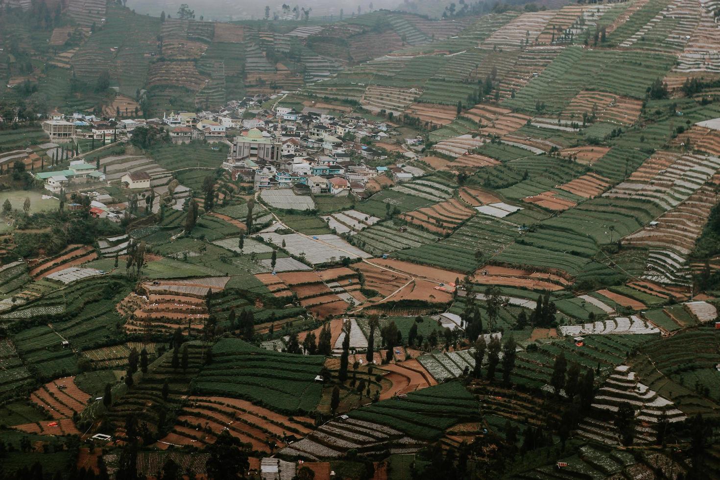 bewolkt dieng heuvels foto