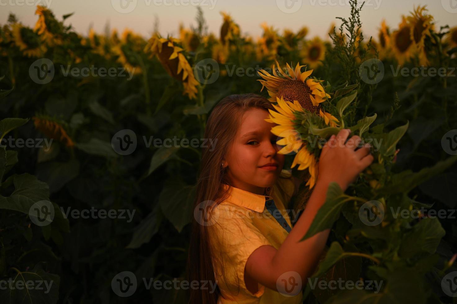 een gelukkig jong meisje met lang haar- in een rietje hoed staat in een groot veld- van zonnebloemen. zomer dag. een warm zonsondergang foto