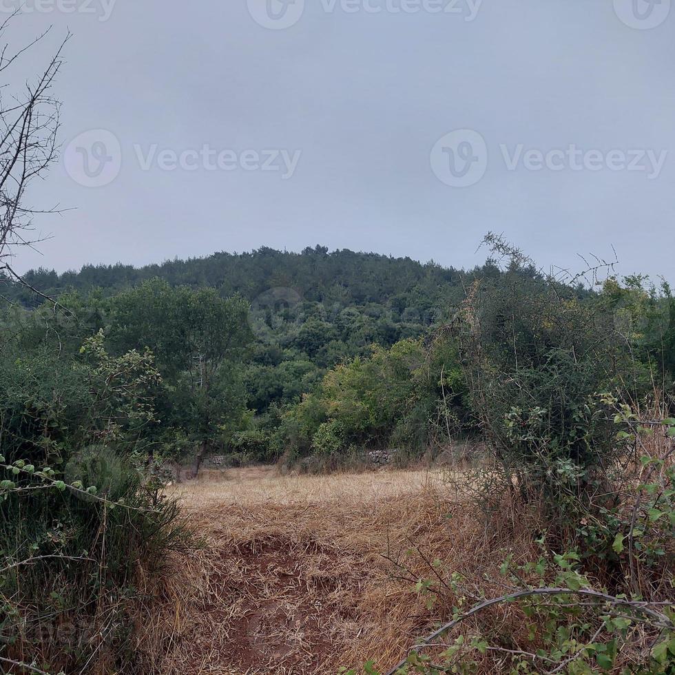 mooi natuurlijk landschap met bergen foto