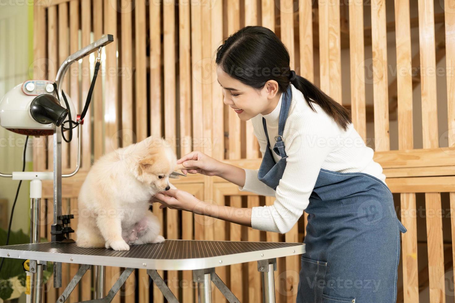 vrouw professioneel groomer kammen hond vacht Bij huisdier spa uiterlijke verzorging salon foto