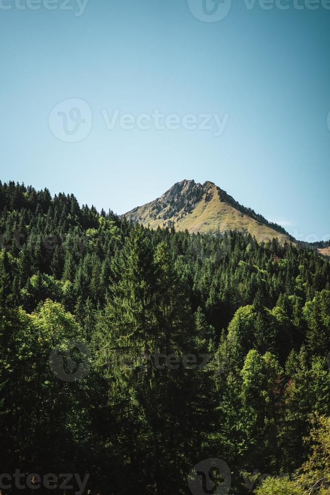 majestueus bergen in de Alpen gedekt met bomen en wolken foto