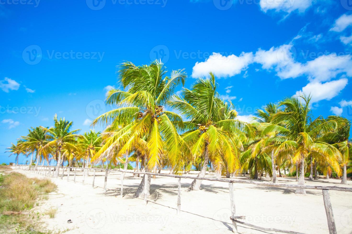 toneel- strand visie foto