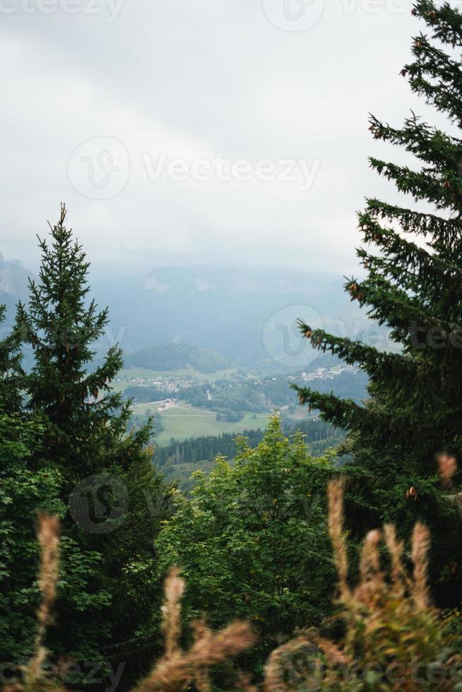 majestueus bergen in de Alpen gedekt met bomen en wolken foto