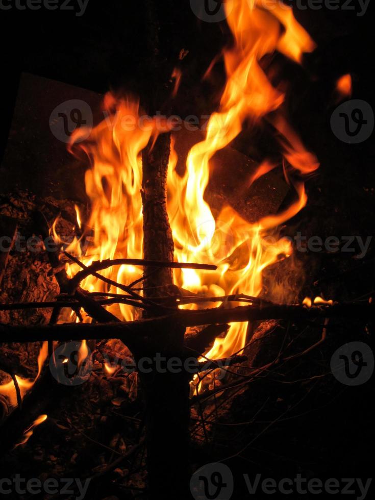 hout brandend brand pit vreugdevuur in de nacht foto