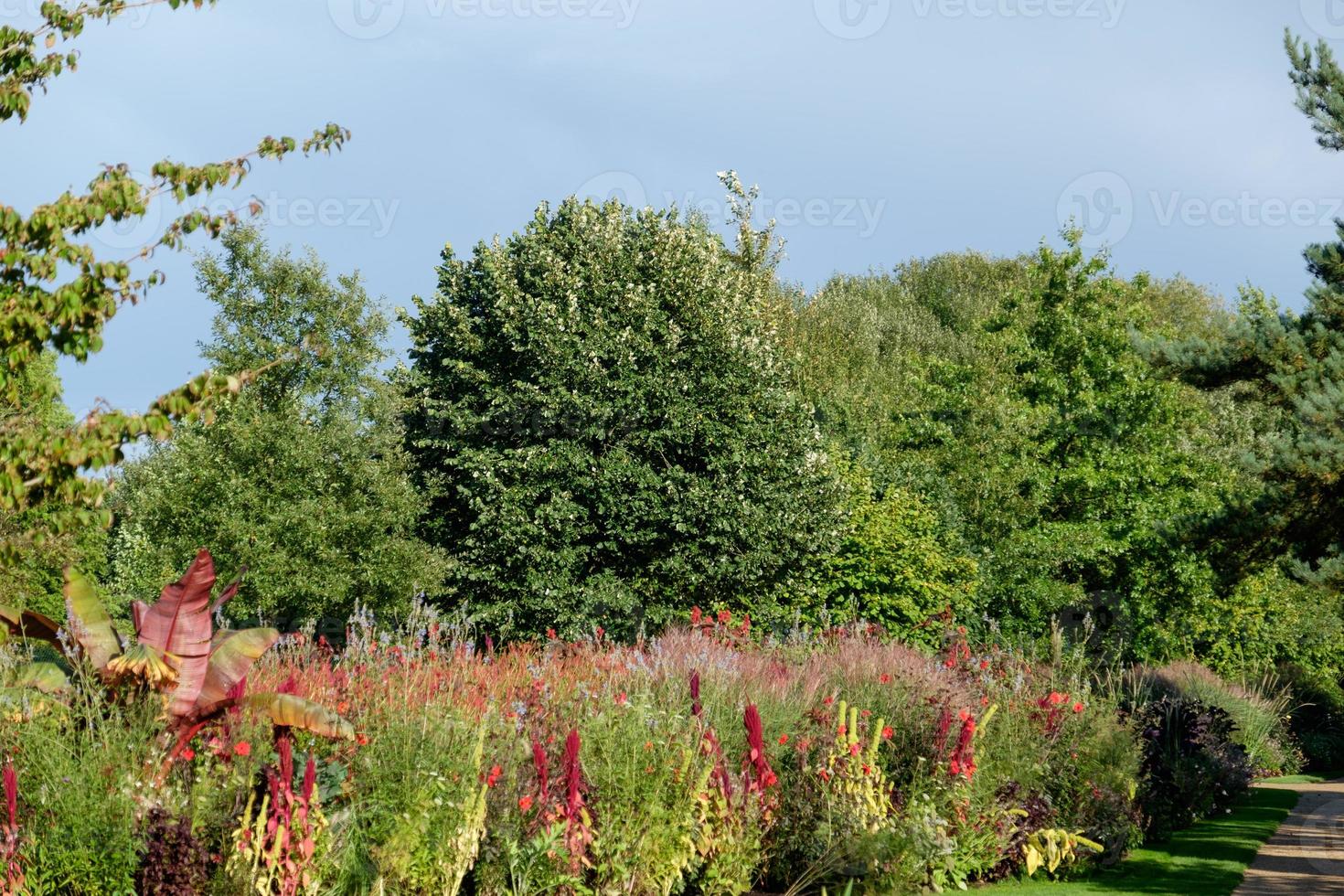 zomertijd in de tuin foto