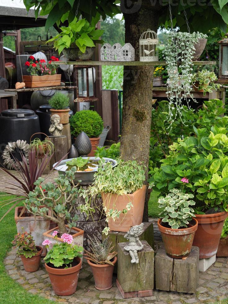 zomertijd in de tuin foto