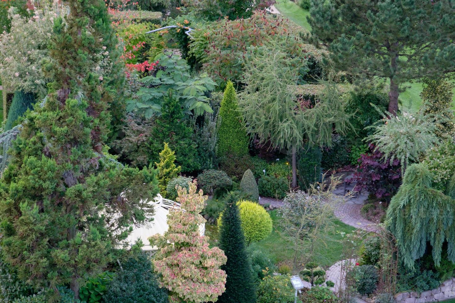 zomertijd in de tuin foto