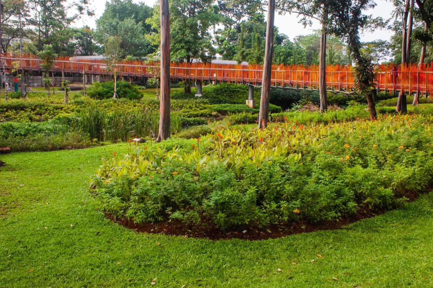 toneel- visie van een tuin landschap met verbazingwekkend planten en bloemen. landschappen in de openbaar park onder een bewolkt lucht foto
