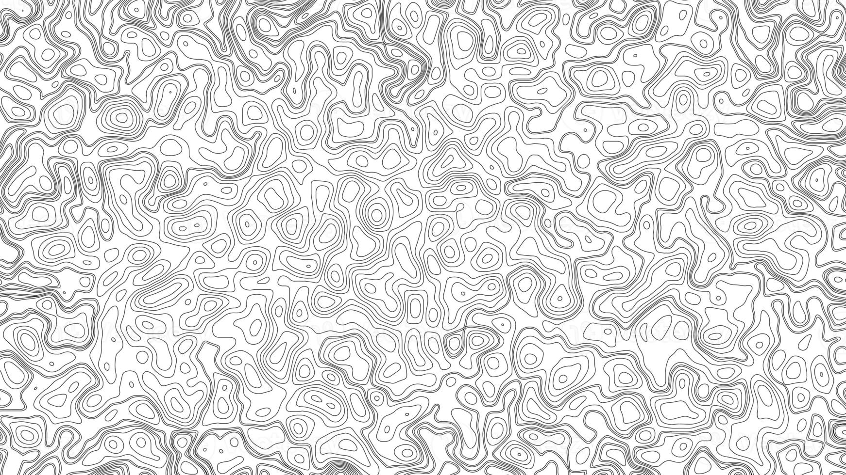 abstract blanco gedetailleerd topografisch contour kaart subtiel wit vector achtergrond. geografisch topografisch kaart rooster. lijn kaart met verhoging. topografisch cartografie. topografisch kaart. topografisch Verlichting. foto