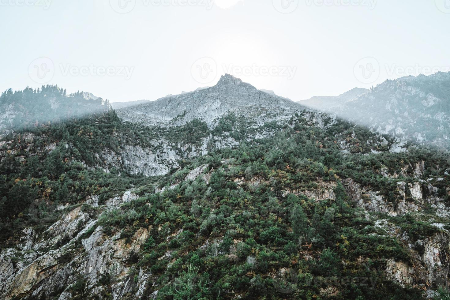 majestueus bergen in de Alpen gedekt met bomen en wolken foto