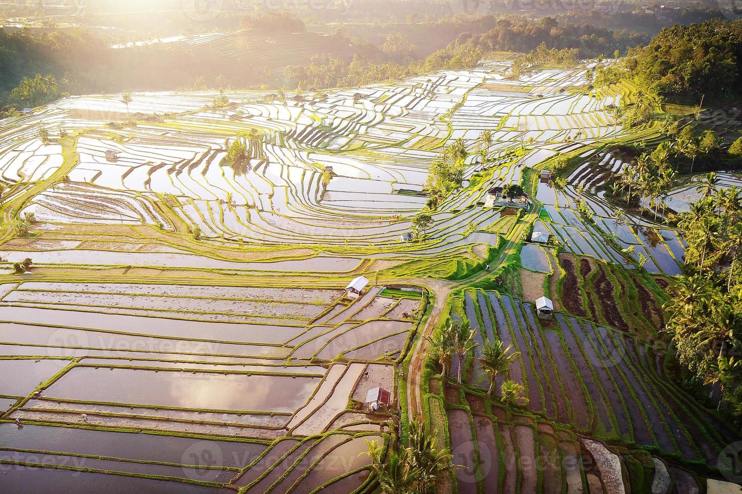luchtfoto van rijstterrassen in Bali foto