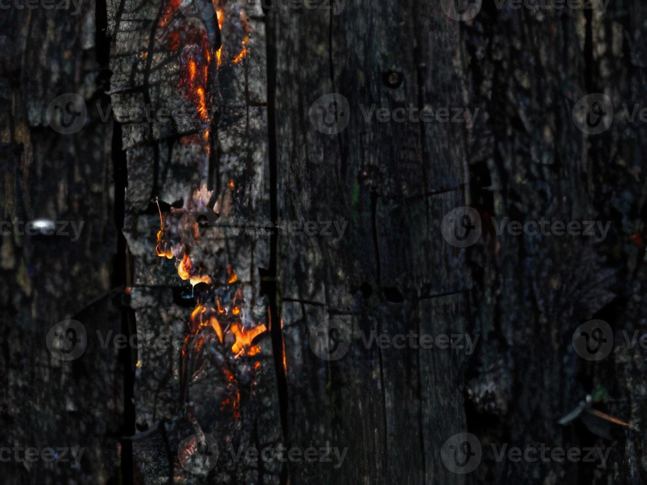 verbrand hout structuur achtergrond foto