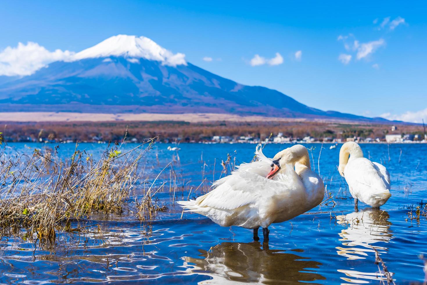 prachtig uitzicht op mt. fuji uit het yamanakako-meer, japan foto