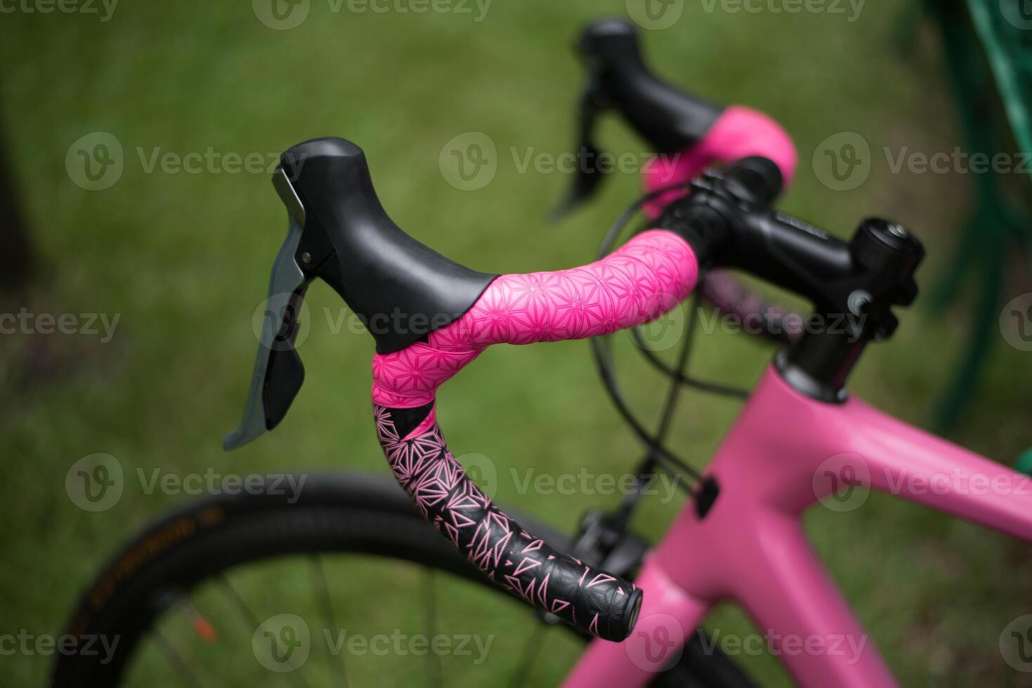 vrij foto roze fiets leunend Aan park bank