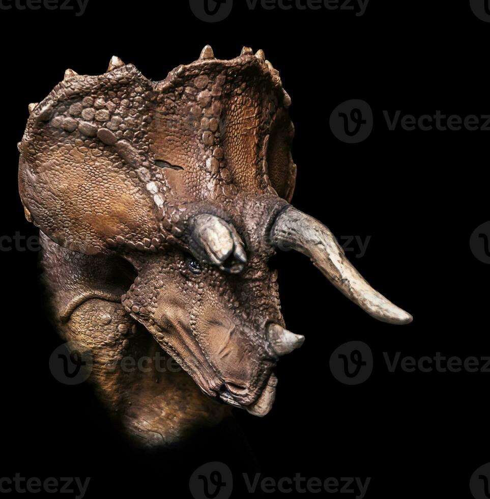 de hoofd van triceratops in de donker , dinosaurus Aan zwart achtergrond foto