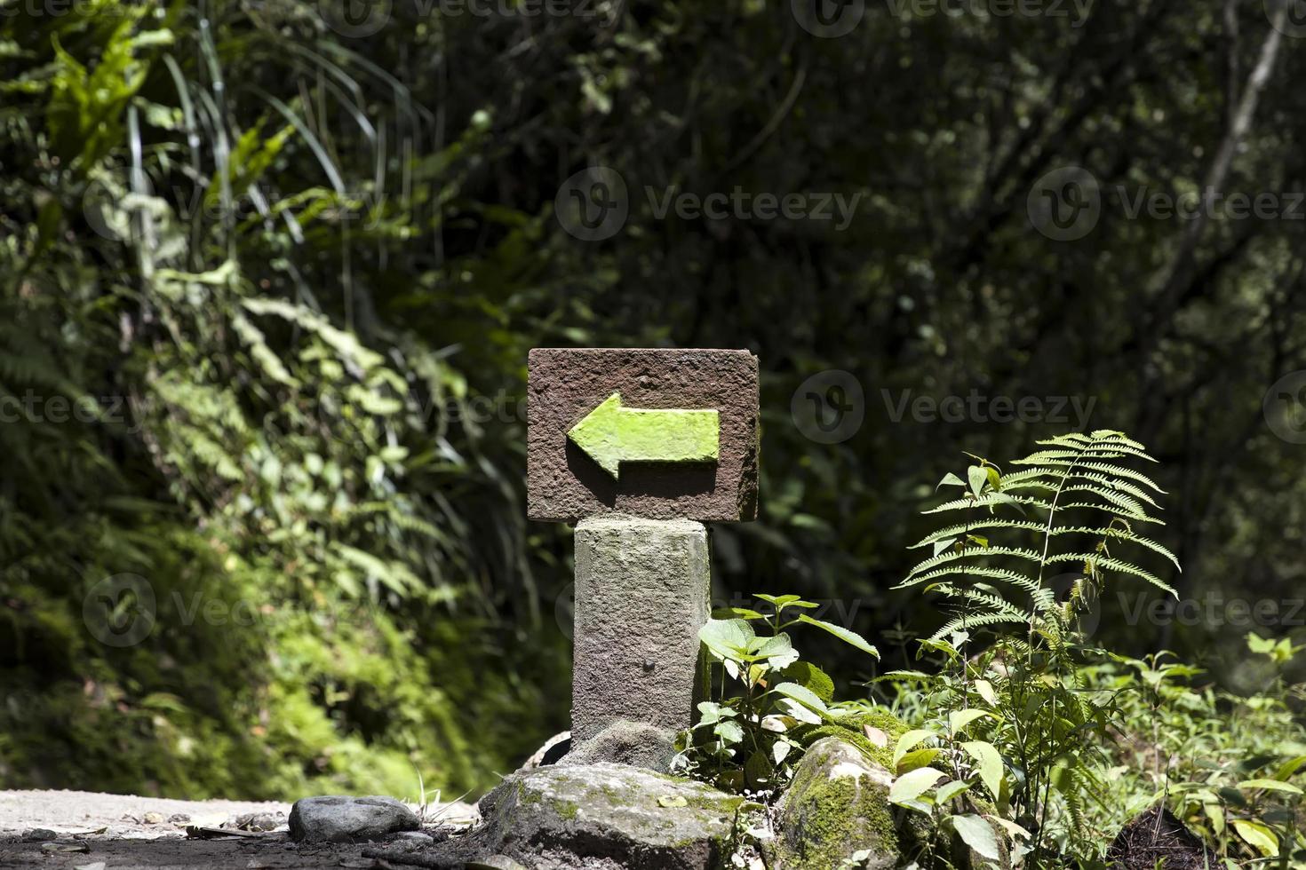 machu picchu in peru foto