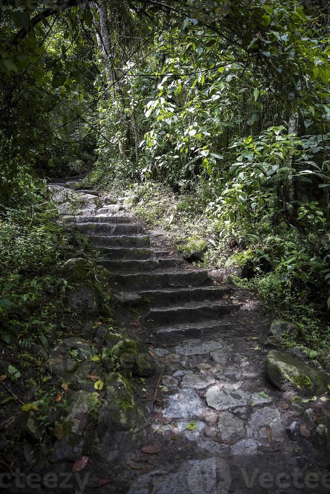 wildernislandschap in peru foto