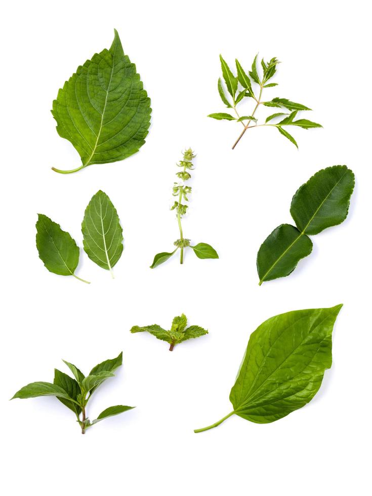 verzameling van groene bladeren geïsoleerd op wit foto