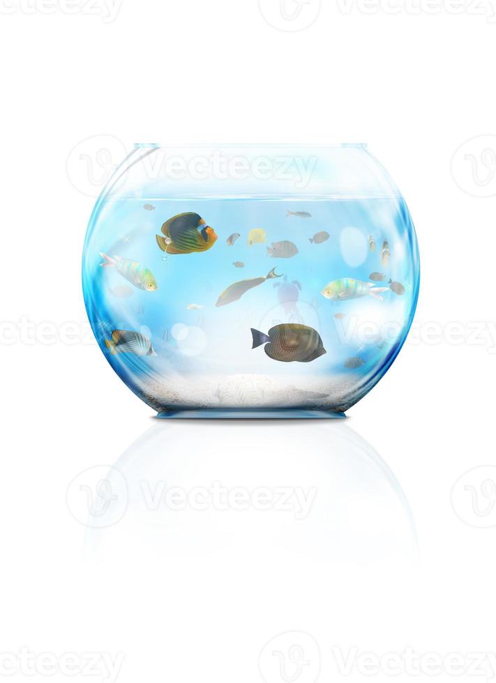 glas aquarium Aan wit achtergrond foto
