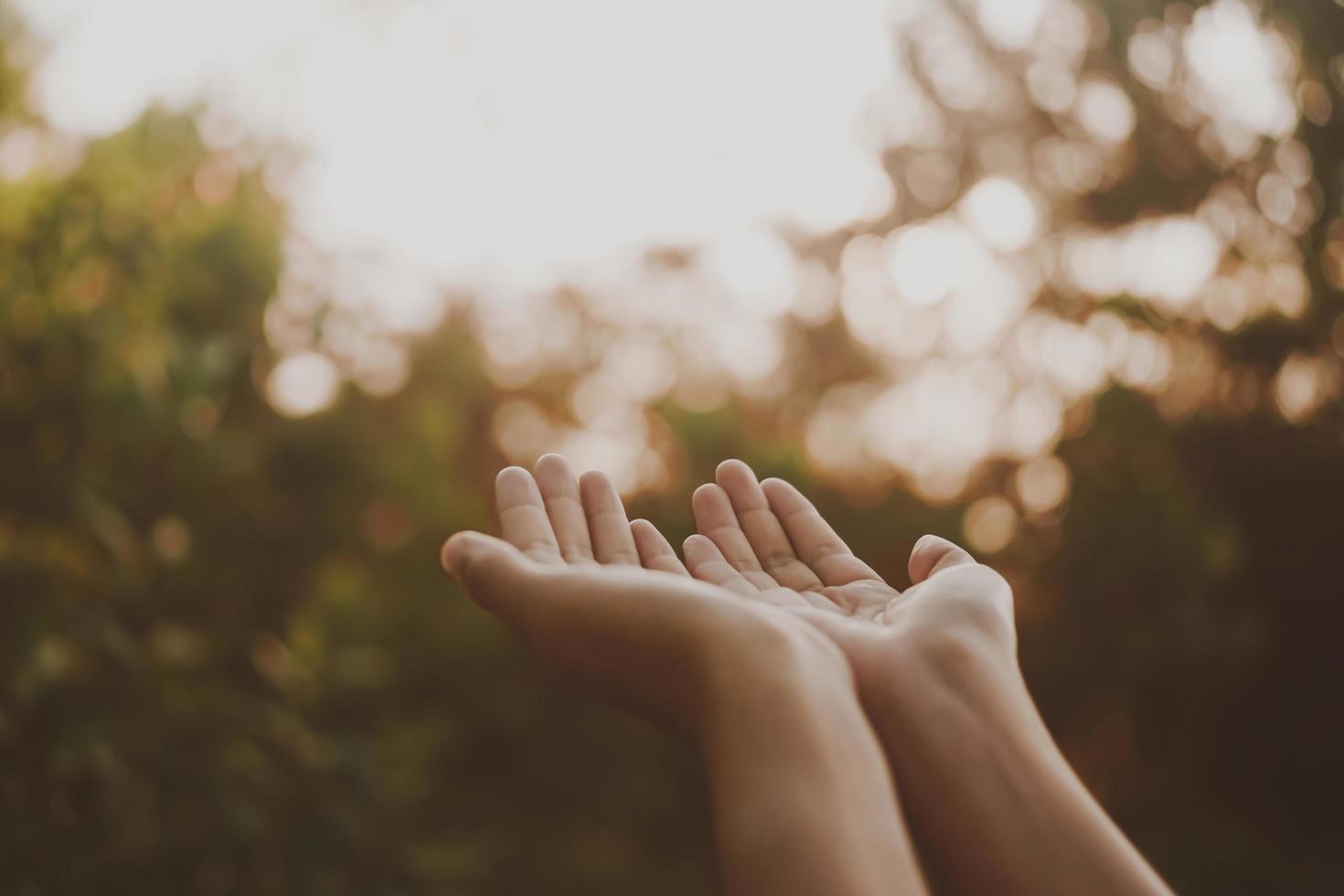 handen bij elkaar geplaatst als bidden voor natuur groene achtergrond foto