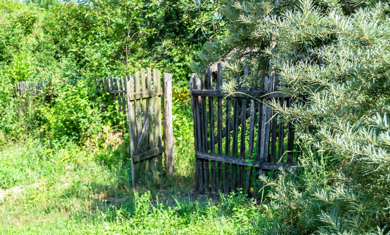 mooi oud poort van verlaten huis in dorp Aan natuurlijk achtergrond foto