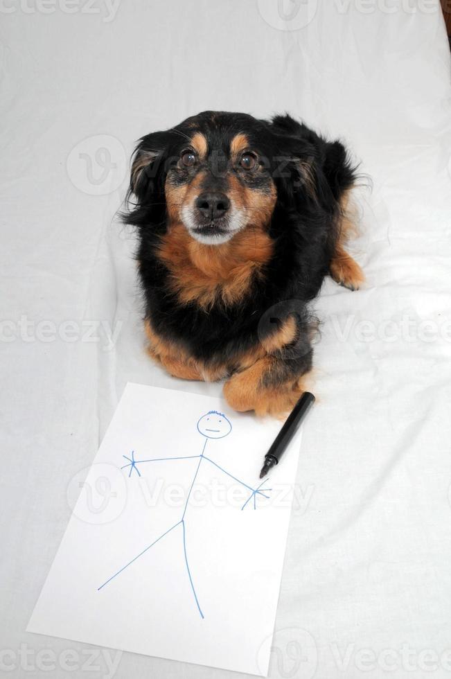 schattig hond met een tekening foto