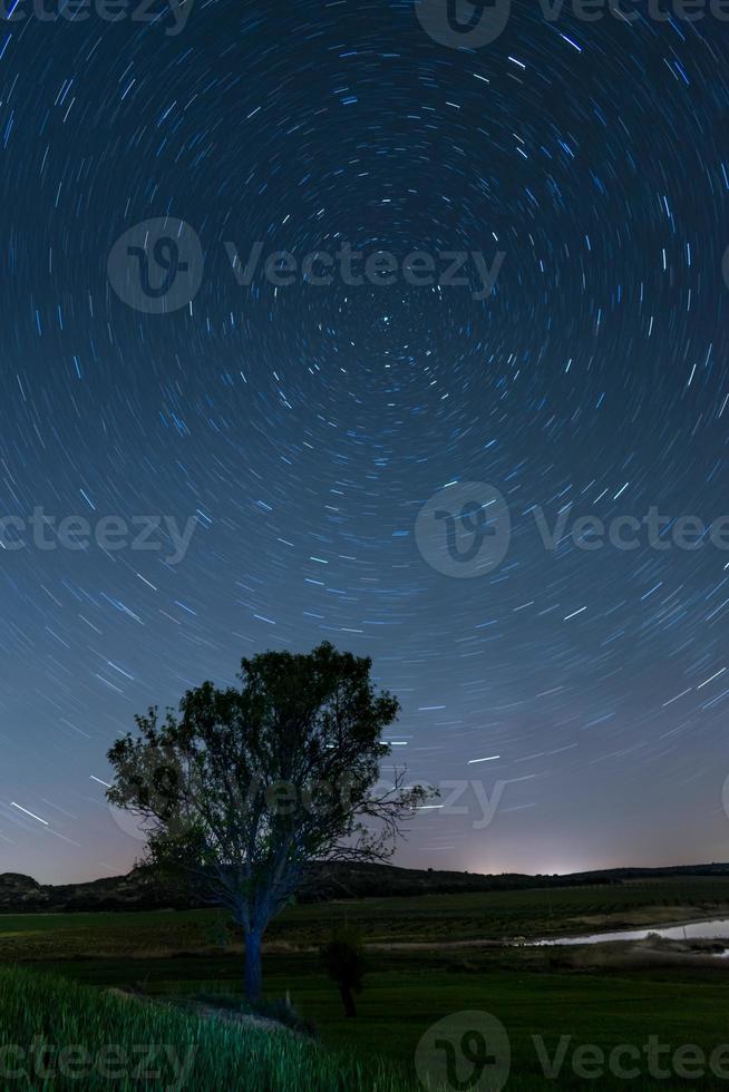 circumpolaire startrails met een boom foto