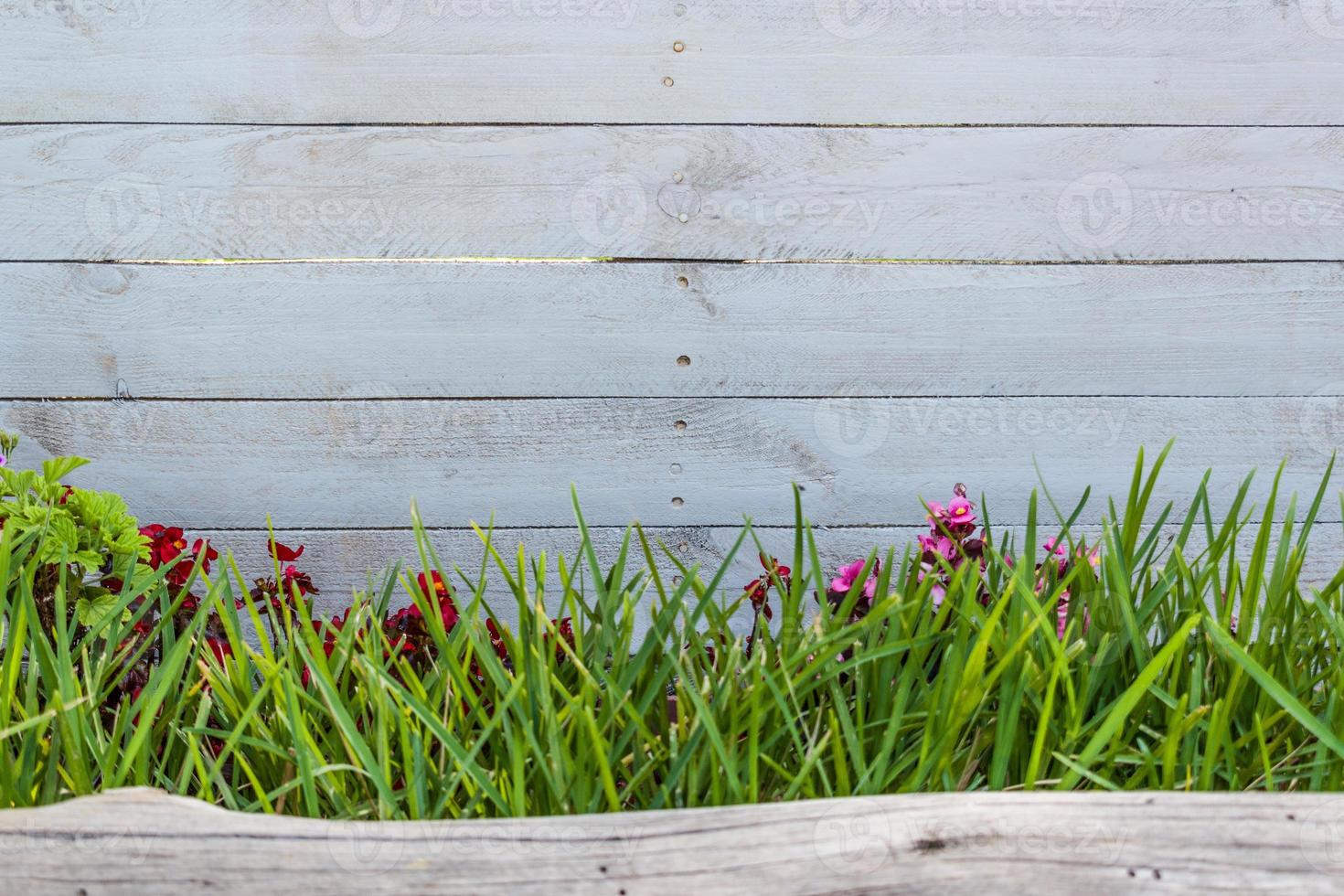 wit hout met gras en een stam foto