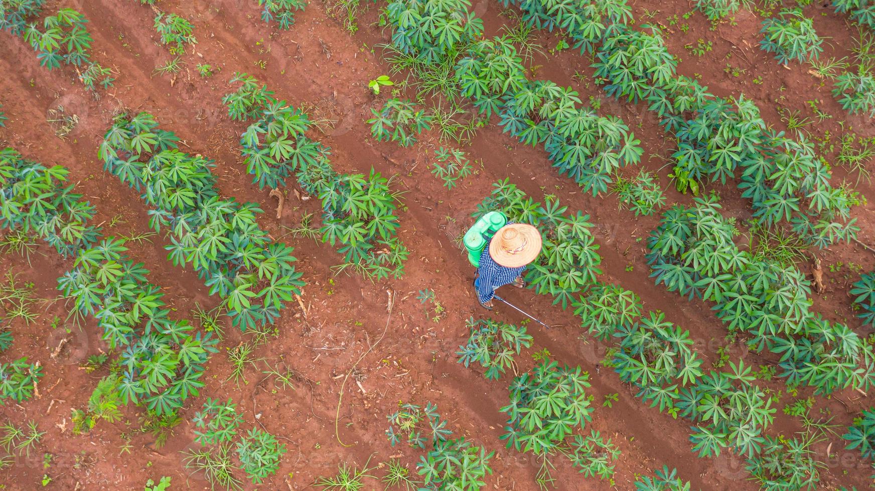 luchtfoto bovenaanzicht van boeren die werken op cassave boerderij foto