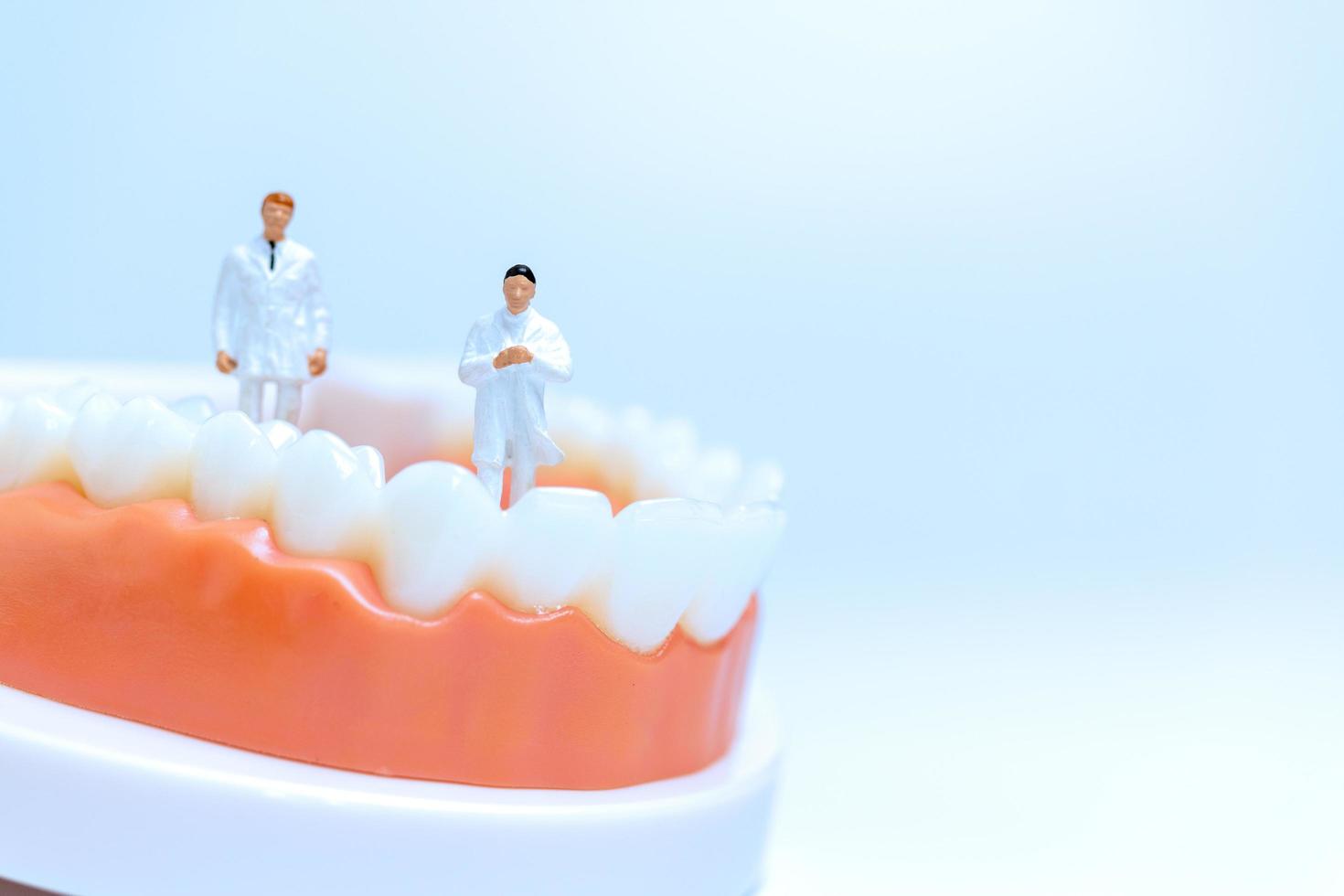 miniatuur tandartsen in menselijk tandenmodel met tandvlees foto