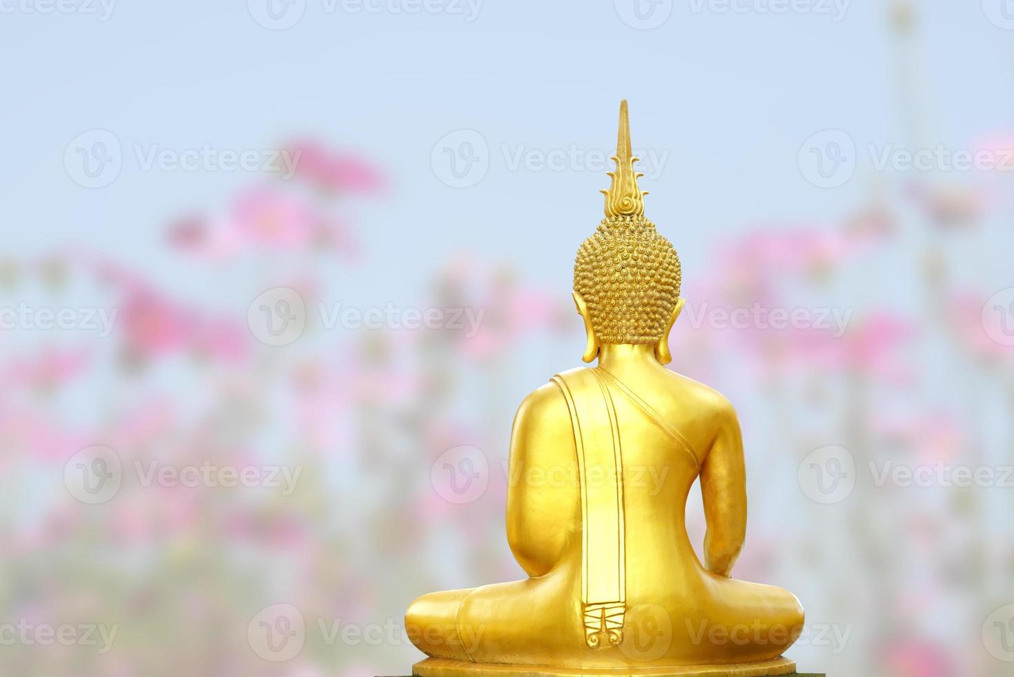 makha asanaha visakha bucha dag gouden Boeddha beeld. achtergrond van bodhi bladeren met glanzend licht. zacht beeld en vloeiende focusstijl foto