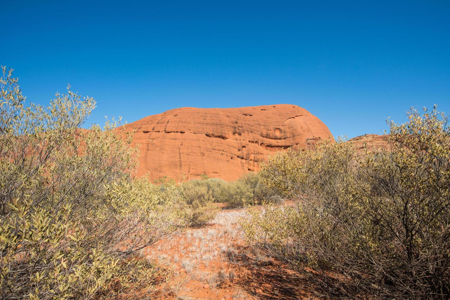 de landschap van Australisch binnenland in noordelijk gebied staat van Australië. foto