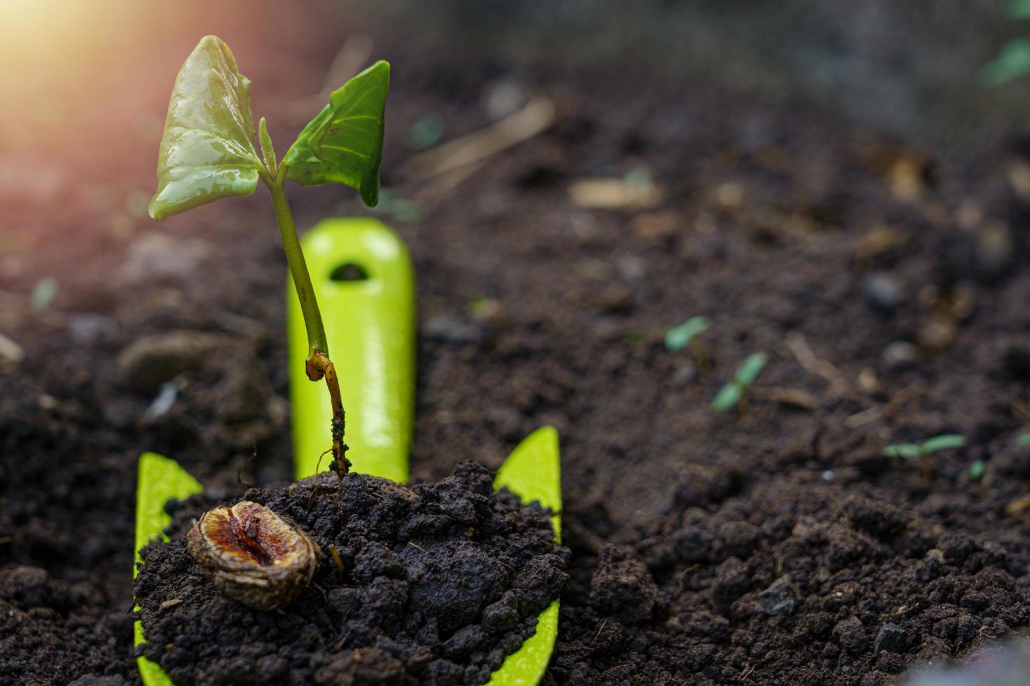 tuinschop in de grond foto