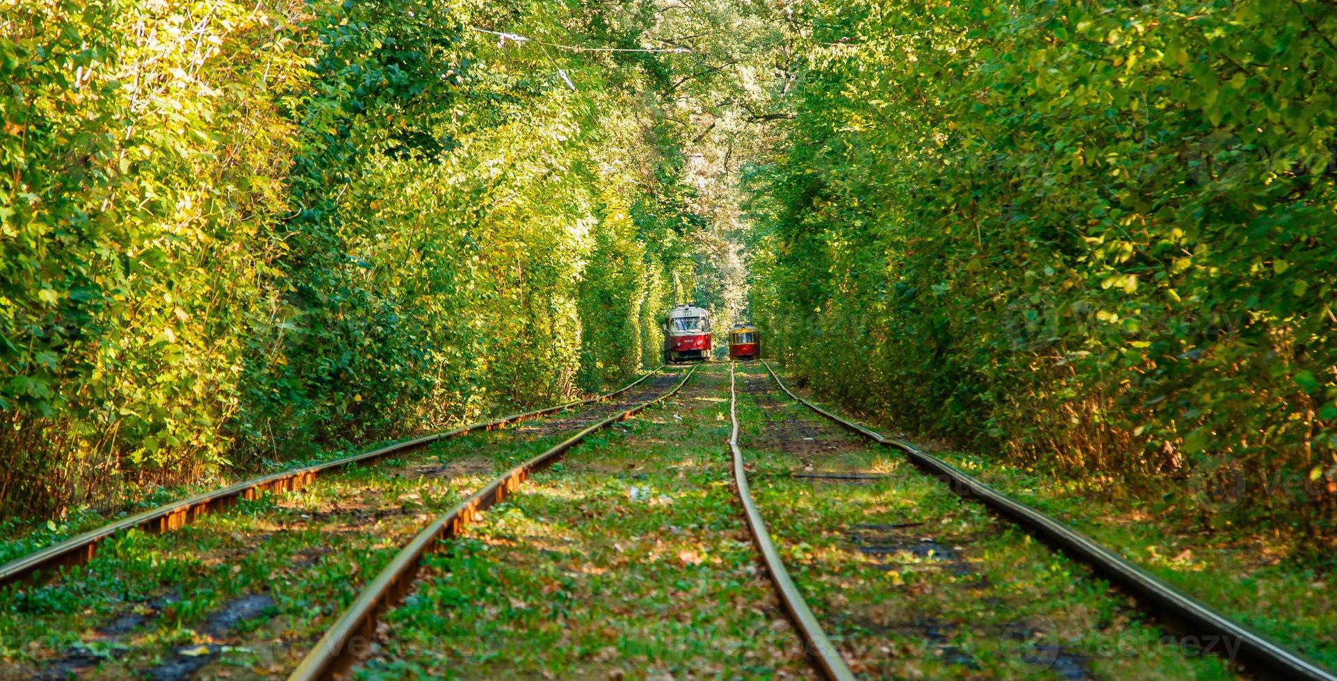 tram en tram rails in kleurrijk Woud foto