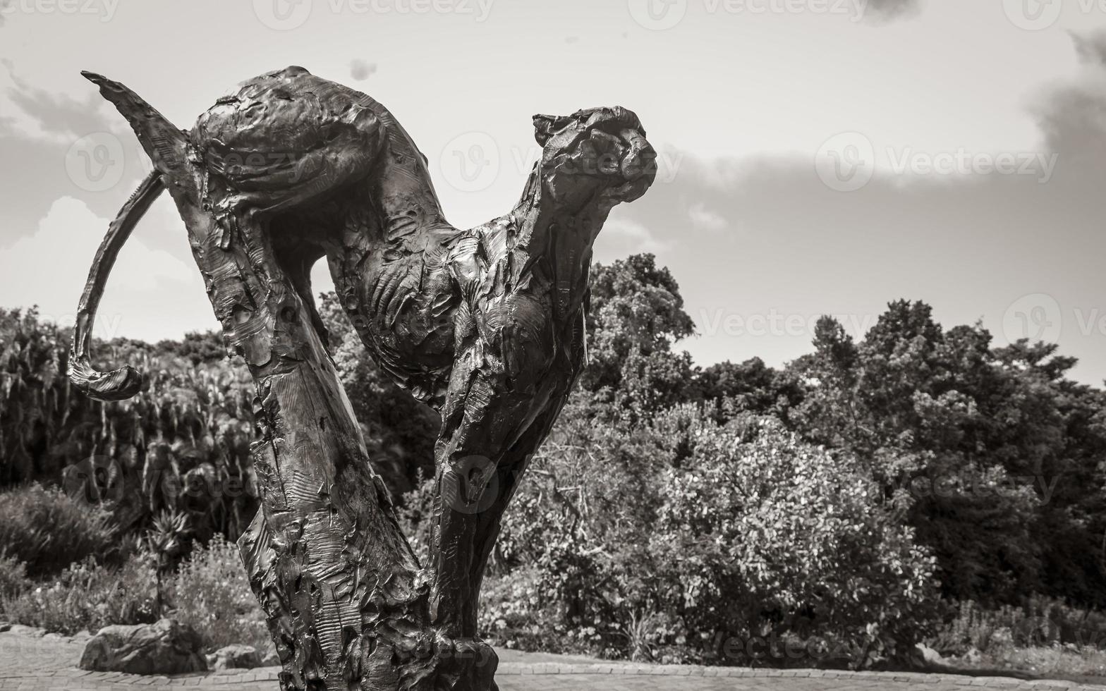 poema beeldhouwwerk in kirstenbosch botanisch tuin, kaap dorp. foto