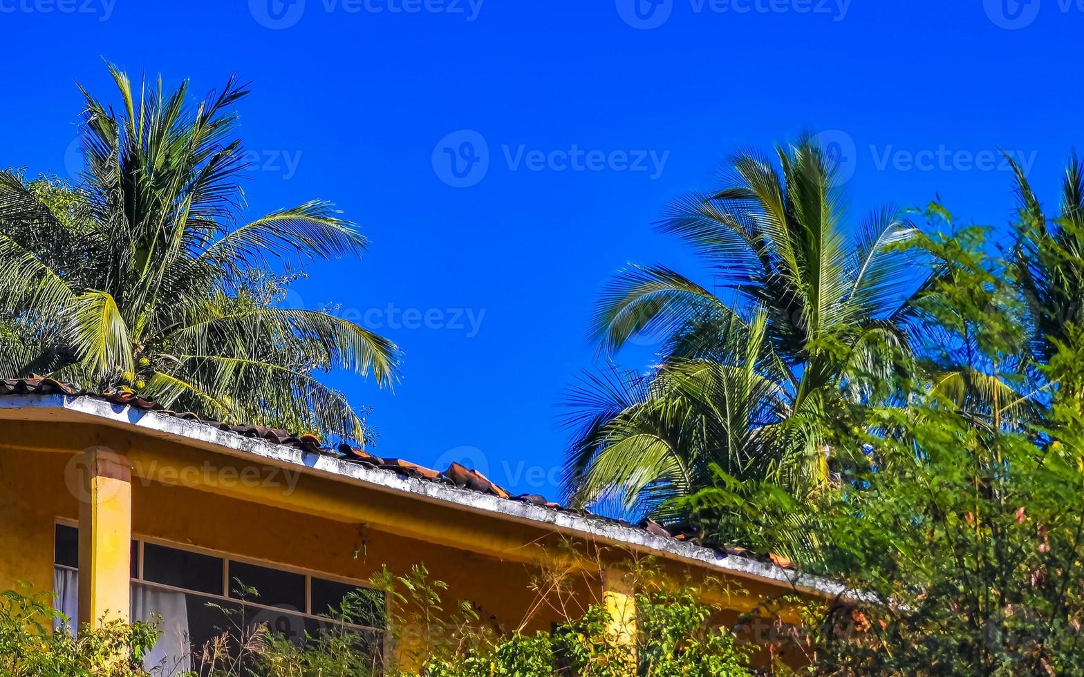 hotels resorts gebouwen in paradijs tussen palm bomen puerto escondido. foto