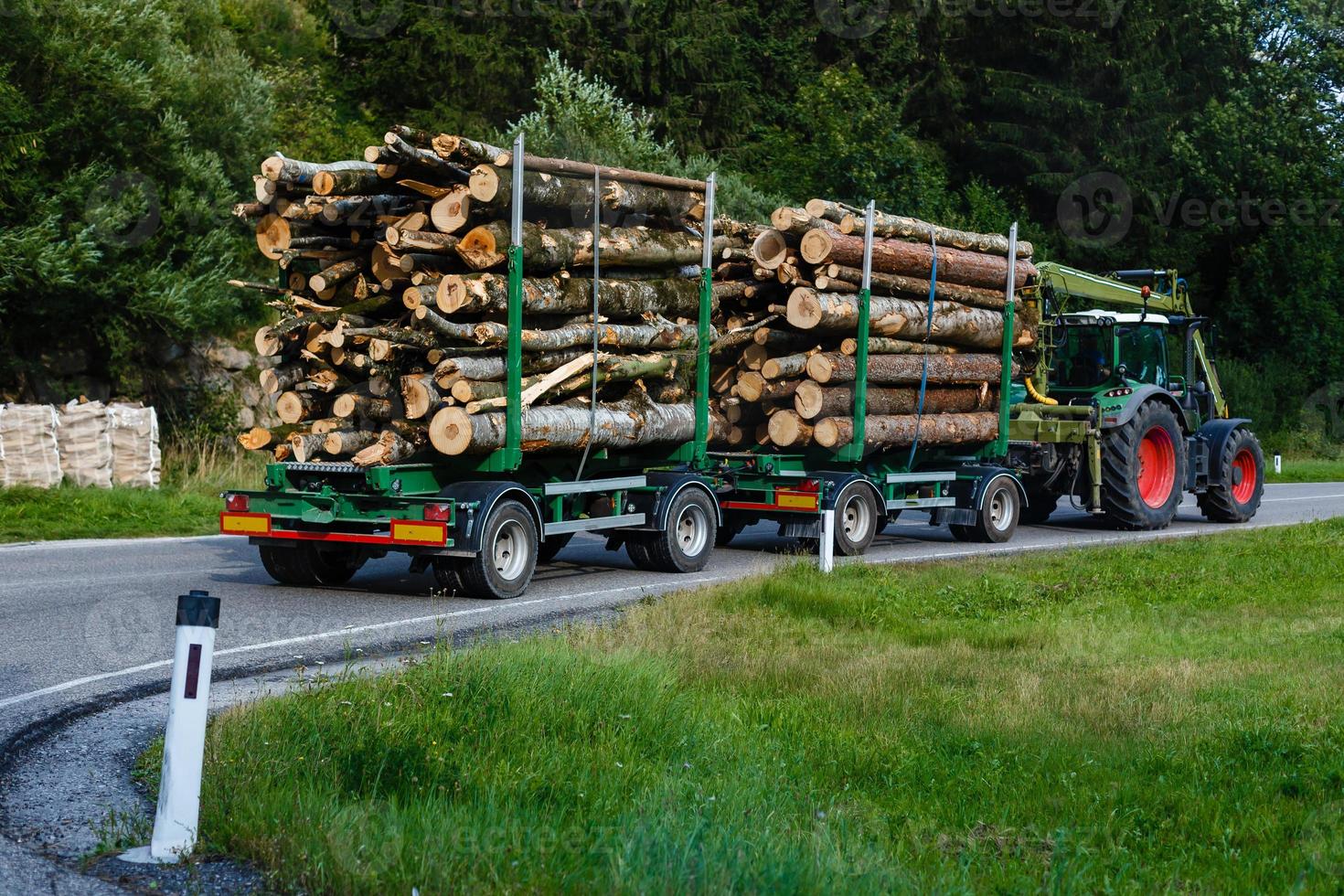 een groot vrachtauto vervoeren hout Aan een berg weg foto